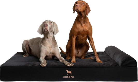 NOAH & PAW Giant Dog Bed XXL 55x45x9.5 Inch, Orthopedic Dog Beds, Eggshell Memory Foam Infused with Cooling Gel, Waterproof, Machine Washable, Includes Inner Cover (Denim Collection)