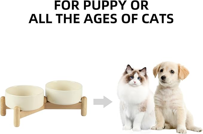 Ceramic 5.1inch Raised Double Bowls Set with Wooden Stand, Elevated Food & Water Bowls for Small Breed Dogs, Cats, Kitty, Weighted Dog Dishes, Pet Bowls(13.5oz, Beige)