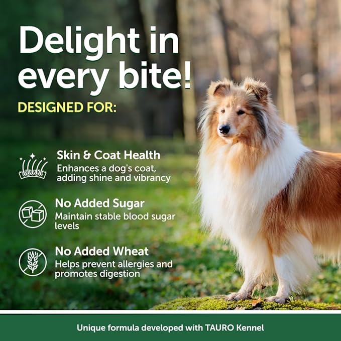 Nature's Protection Wet Dog Food Pouches for Small & Large Breed - High Protein, 24-Pack Soft Dog Food Toppers for Adult Red Fur Dogs (Superior Care - Tuna Fish, 2.46-oz)