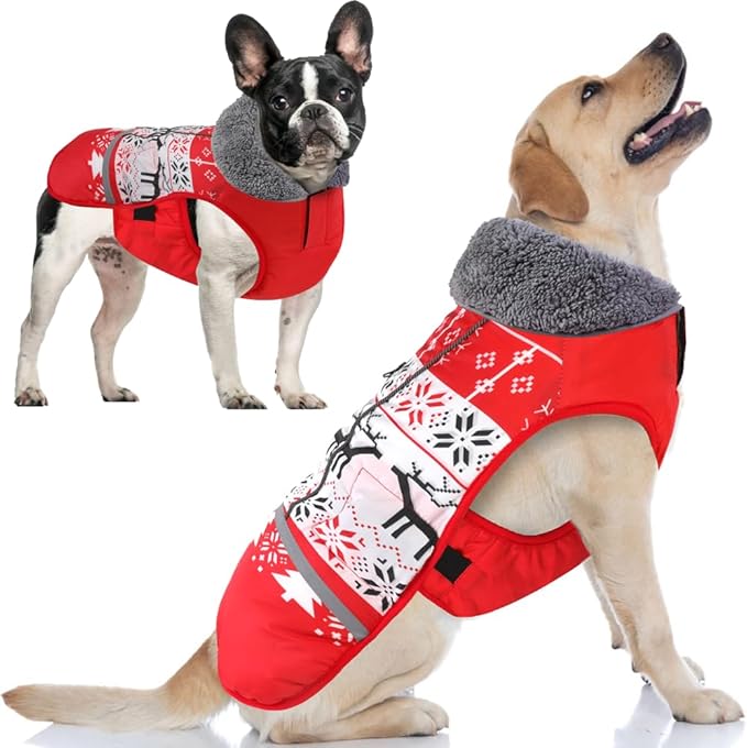 Doglay Dog Coat, Waterproof Dog Jacket Pet Winter Coat for Cold Weather with Thicken Furry Collar, Reflective Puppy Winter Jacket Warm Fleece Lining for Small Medium Large Pets