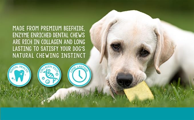 | Enzyme Enriched Dental Care Dog Chews | for Medium/Large Dogs | 12.8 oz