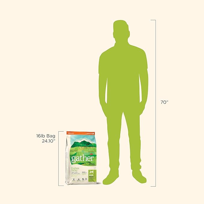 GATHER Endless Valley, Plant-Based, Grain-Free Dry Dog Food, Vegan Adult Recipe with Non-GMO Ingredients, 16 lb Bag