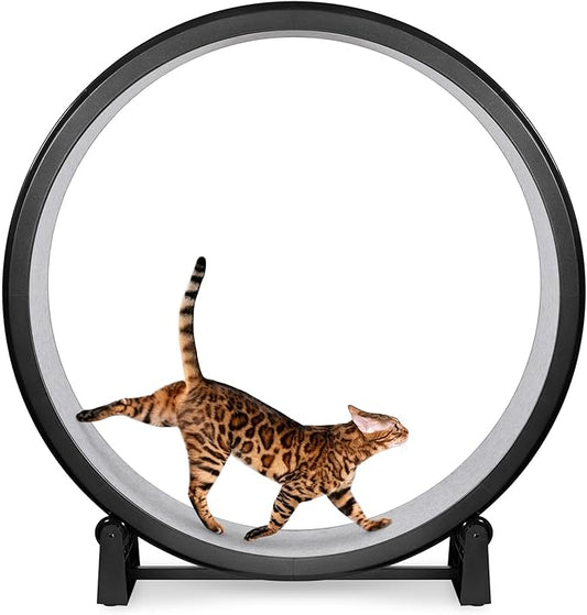 One Fast Cat - Cat Exercise Wheel - Gen. 7 - Safe 48" Diameter - Made in The USA - Black Wheel with Gray Felt Traction Pads and Solid Black Inline Wheels