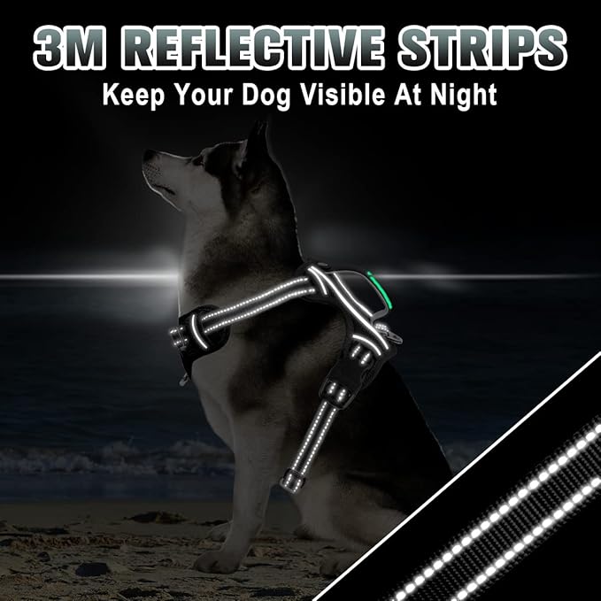 BARKBAY No Pull Dog Harness Large Reflective Dog Harness with Front Clip and Easy Control Handle for Walking Training Running with ID tag Pocket(Black,M)