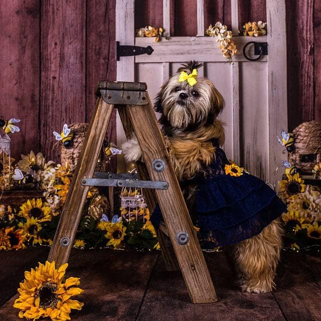 Sunflower Dog Dress, Navy Sunflower Wedding Dog Dress, Dog Flower Girl Dress, The Dorothy, Wedding Dog Dress, Dog Clothes (X-Small (3-6 lbs))