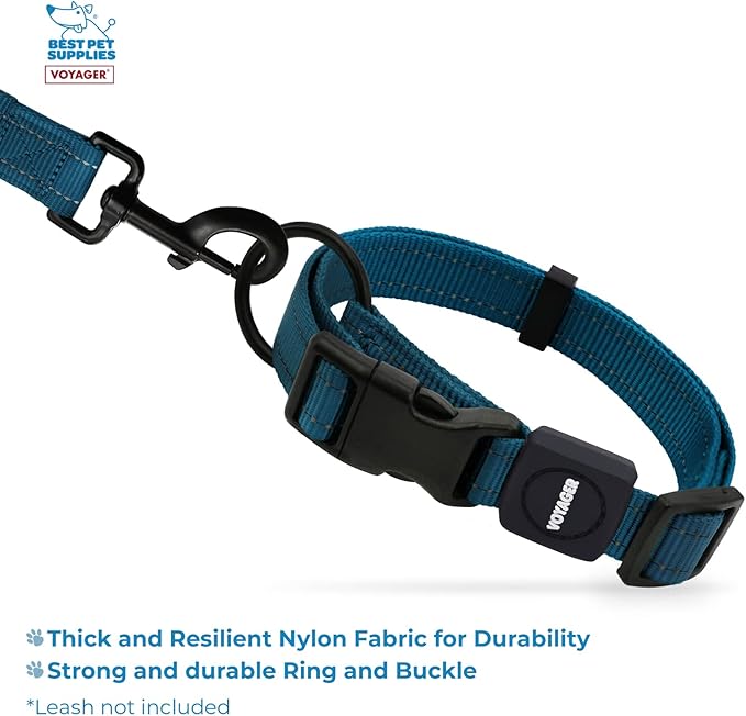Best Pet Supplies Reflective Dog Collar with Adjustable Length, Heavy-Duty Buckle, and Strong Leash D-Ring, Training, Walking, Jogging Accessory for Small, Medium, and Large Breeds - Blue, L