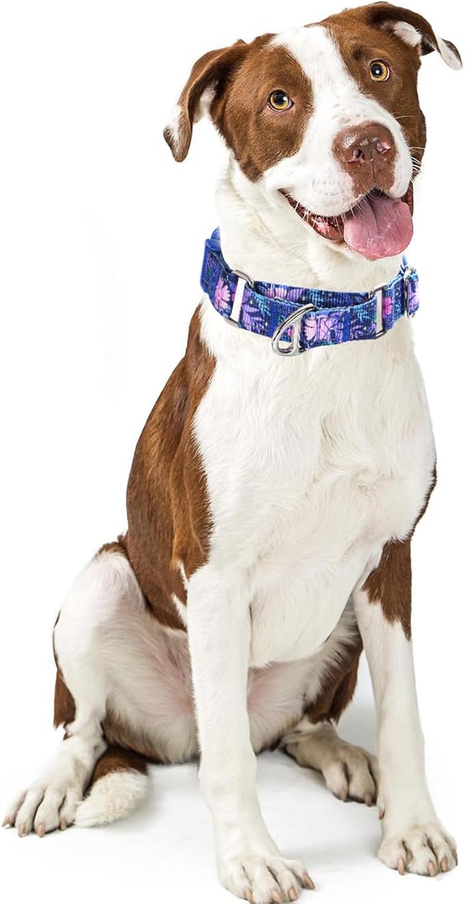 Martingale Collar for Dogs - No Slip Choke Heavy Duty Collar with Reflective Nylon, Quick Release Buckle & Bohemian Floral Pattern for Training, Walking & Overexcited Dogs S