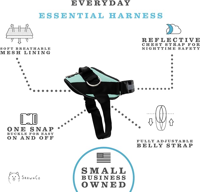 ShawnCo Essential Dog Harness, No-Pull Pet Vest with 3 Leash Clips, No Choke, Reflective, Adjustable and Padded, for Easy Walking and Training for Small, Medium and Large Dogs (Seafoam, S)