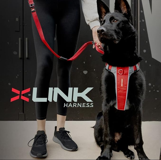 EzyDog X-Link Dog Harness – Reflective and Padded No Pull Dog Harness for Training and Everyday Walks with 2 Leash Attachment Points (X-Small, Red)