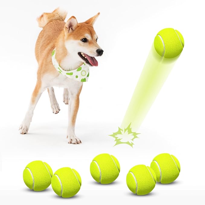 HETOO Tennis Balls for Dogs: 6 Pack 2.5 Inch Dog Balls- Dog Tennis Ball- Outdoor Dog Toys Dogs Water Toys- Dog Toys Ball for Medium Large Dogs for Training Exercise Fetch- Yellow