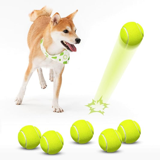 HETOO Tennis Balls for Dogs: 6 Pack 2.5 Inch Dog Balls- Dog Tennis Ball- Outdoor Dog Toys Dogs Water Toys- Dog Toys Ball for Medium Large Dogs for Training Exercise Fetch- Yellow