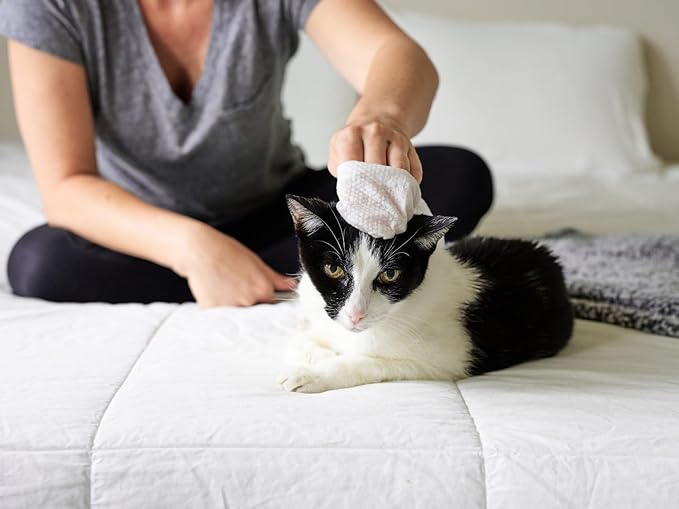 Cat All Purpose Pet WiPees™ – 100 Daily Cat Bath Wipes, All Natural Cat Wipes for Ears, Fur & Folds, Gentle Pet Wipes for Cats, pH-Balanced to Cats Specific Skin & Biome (Natural, 100ct)