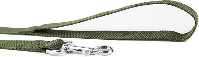 TAIDA Strong Nylon 16 Feet Long Dog Leash, 16 Foot Dog Leashes for Medium Large Dogs, 1 Inch Wide