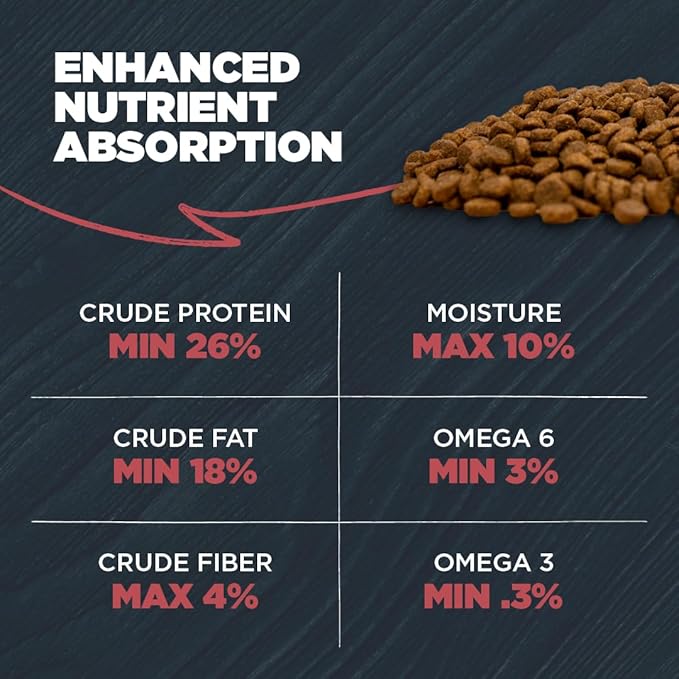 Blackwood Complete & Balanced Diet Dry Dog Food, Chicken Meal & Brown Rice with Ancient Grains, 24 Pound Bag, Slow Cooked with Vitamins & Minerals