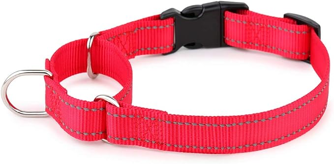 PLUTUS PET Reflective Martingale Collar with Quick Snap Buckle,No Pull Dog Choker Collar for Small Medium Large Dogs,L,Red