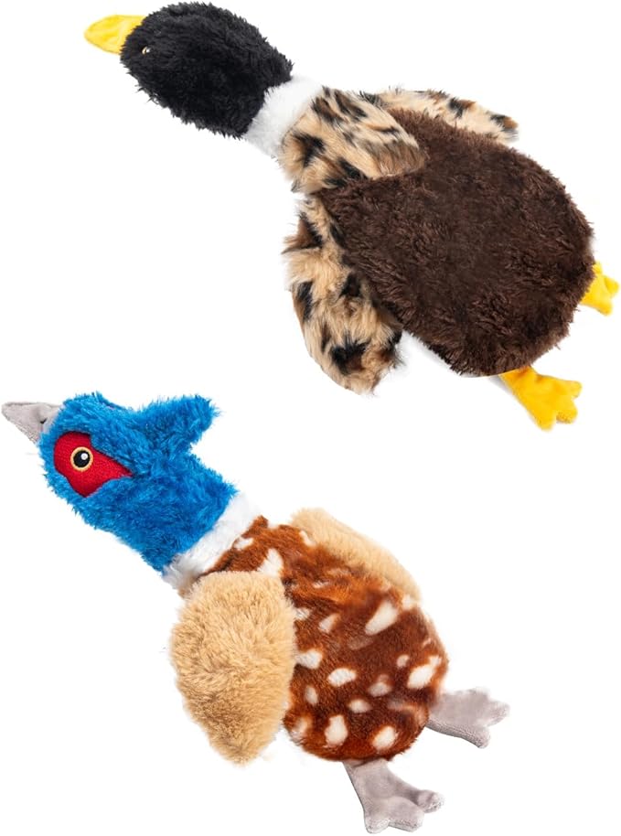 2-Pack Stuffing-Free Squeaky Dog Toys: Pheasant & Black-Headed Duck (4 Squeakers Each) | Hollow-Body Plush with Strategic Sound Zones