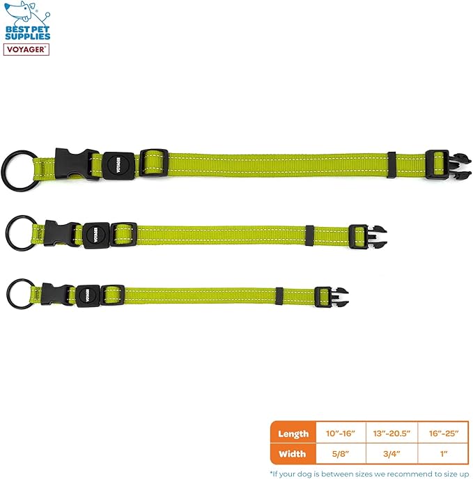 Best Pet Supplies Reflective Dog Collar with Adjustable Length, Heavy-Duty Buckle, and Strong Leash D-Ring, Training, Walking, Jogging Accessory for Small, Medium, and Large Breeds - Lime Green, M