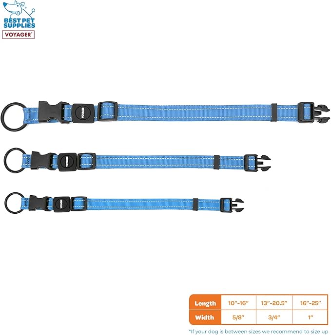 Best Pet Supplies Reflective Dog Collar with Adjustable Length, Heavy-Duty Buckle, and Strong Leash D-Ring, Training, Walking, Jogging Accessory for Small, Medium, and Large Breeds - Baby Blue, S