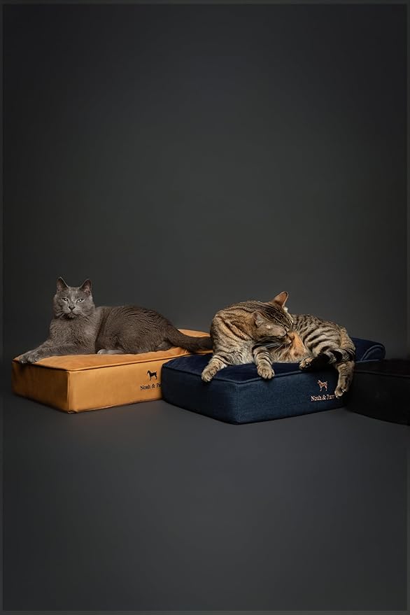 NOAH & PAW Small Dog Bed, 20x15x6.5 Inch, Cat Bed for Indoor Cats, Orthopedic Eggshell Memory Foam Infused with Cooling Gel, Waterproof, Machine Washable, Includes Inner Cover (Faux Leather)