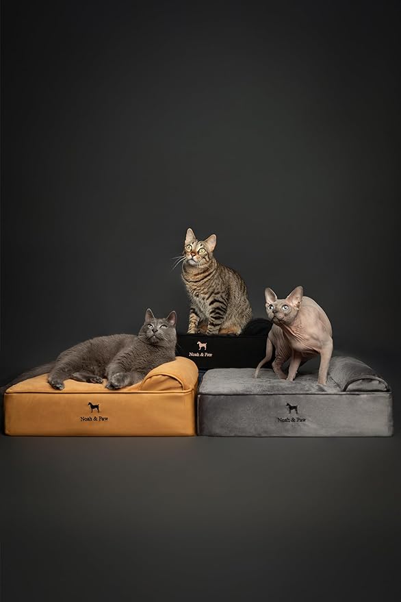 NOAH & PAW Small Dog Bed, 20x15x6.5 Inch, Cat Bed for Indoor Cats, Orthopedic Eggshell Memory Foam Infused with Cooling Gel, Waterproof, Machine Washable, Includes Inner Cover (Faux Leather)