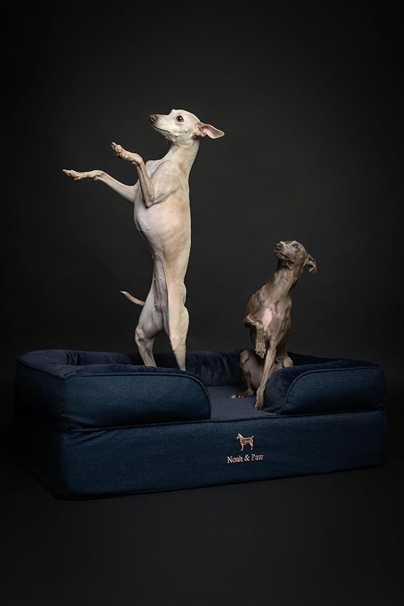 NOAH & PAW Large Dog Bed, 35x25x11 Inch, Orthopedic Dog Beds, Eggshell Memory Foam Infused with Cooling Gel, Inner Cover, Waterproof, Machine Washable (Denim Sofa Collection)