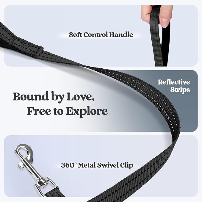 rabbitgoo Dog Harness Small Sized and Leash Set, Step in Soft Light Puppy Vest, Breathable Mesh Pet Harness, Reflective for Outdoor Safe Walking, Black XXXS