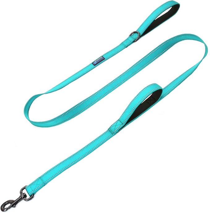 Max and Neo Double Handle Traffic Dog Leash - Reflective, Donates to Dog Rescue (Teal, 4 FT)