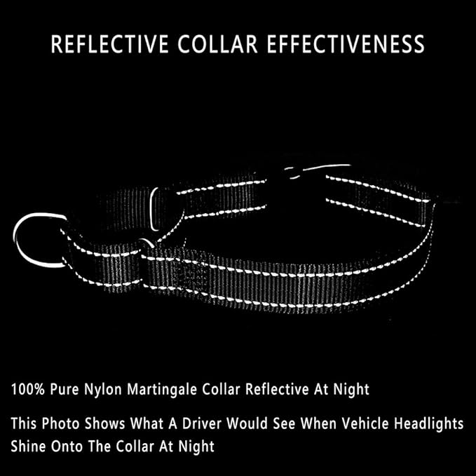 PLUTUS PET Reflective Martingale Collar with Quick Snap Buckle,No Pull Dog Choker Collar for Small Medium Large Dogs,L,Black