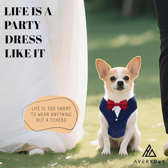 AVERYDAY XS Pet Tuxedo Harness, Wedding Costume Outfit for Small Dogs, Slim Cats and Tiny Pets with 8.3" Neck, 13-14.6" Chest, 10" Max Head Girth, Formal Suit Costume for Mini Breeds