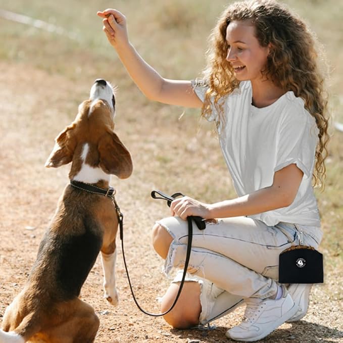 COOWONE Dog Treat Pouch Magnetic Closure Small Dog Training Treat Pouch Pocket Sized Small Dog Treat Pouch with Clip (Black)