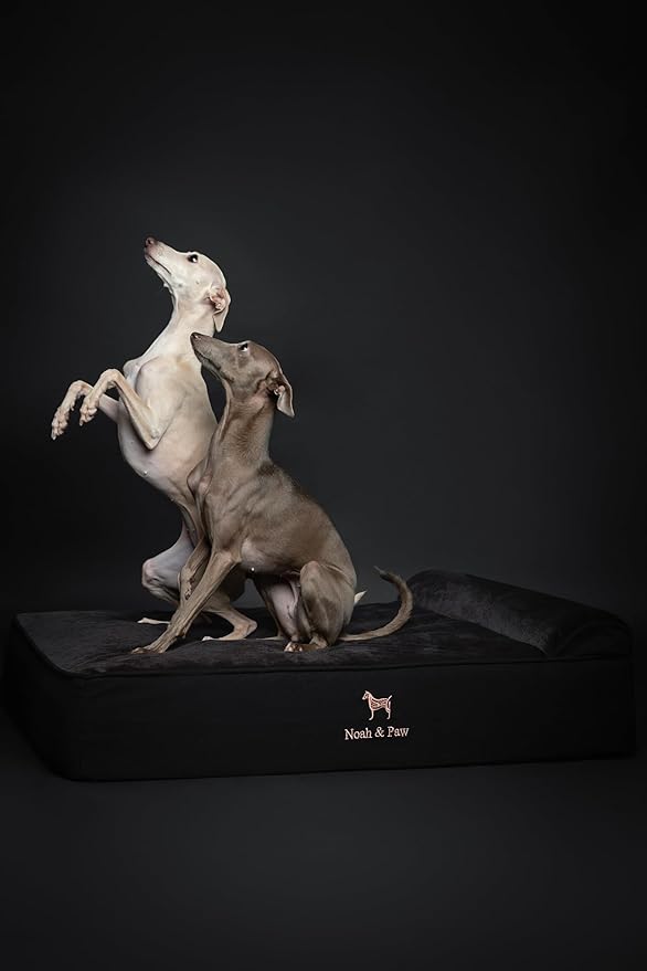 NOAH & PAW Large Dog Bed, 35x25x8.7 Inch, Orthopedic Dog Beds, Eggshell Memory Foam Infused with Cooling Gel, Waterproof, Machine Washable, Includes Inner Cover (Denim Collection)