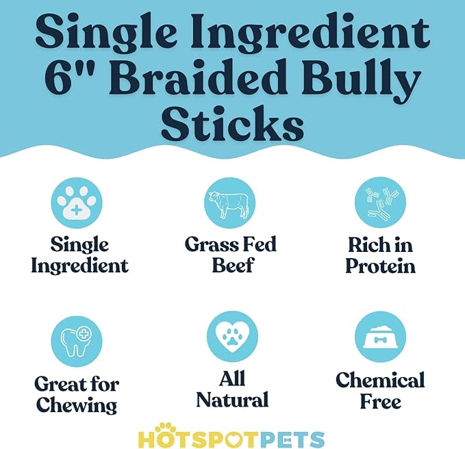 hotspot pets Braided Bully Sticks for Dogs - 6 Inch Stix (10 Pack) All Natural Long Lasting Twisted Beef Pizzle Dog Chew Treats - Low Odor, Grain Free Fully Digestible Rawhide Alternative Sticks