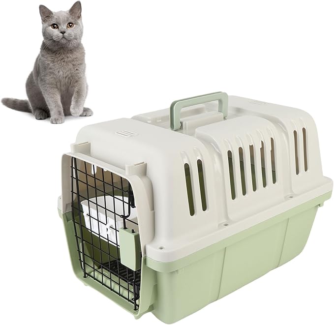 Plastic Dog Crate, Airline Approved Hard Shell Dog Kennel with Handle for Home and Travel, Large Space Portable Breathable Pet Travel Carrier for Outings and Activities (Green)