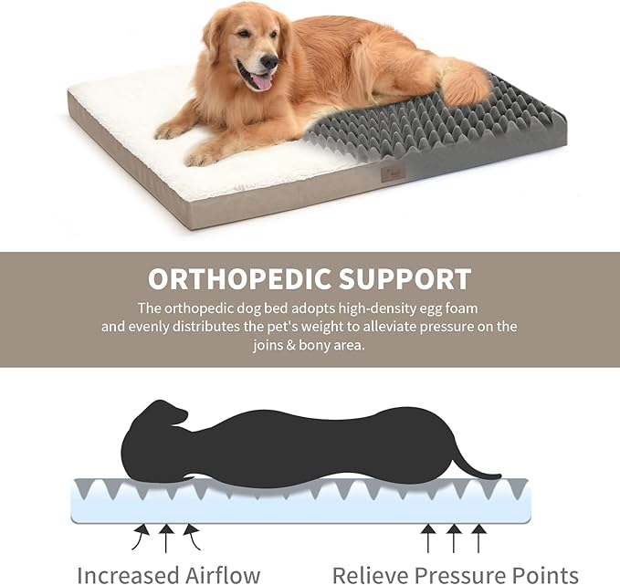 Orthopedic Dog Bed for Medium Dogs - Waterproof & Machine Washable with Egg Crate Foam, Removable Deluxe Plush Cover, 30x20 Inch, Khaki White