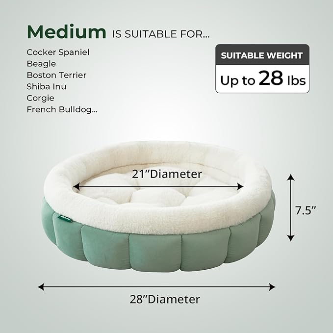 BALANCE Cat Beds for Indoor Cats, Washable Round Dog Bed, Donut Dog Bed with Anti-Slip Bottom for Small Dogs, 28 Inches, Granite Green