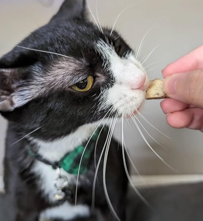 Freeze Dried Pork Heart Dog Treats Made in USA. All Natural Freeze-Dried Raw Snacks for Dogs and Cats. Single Ingredient. High Protein, Heart Health, Irresistible Training Treat