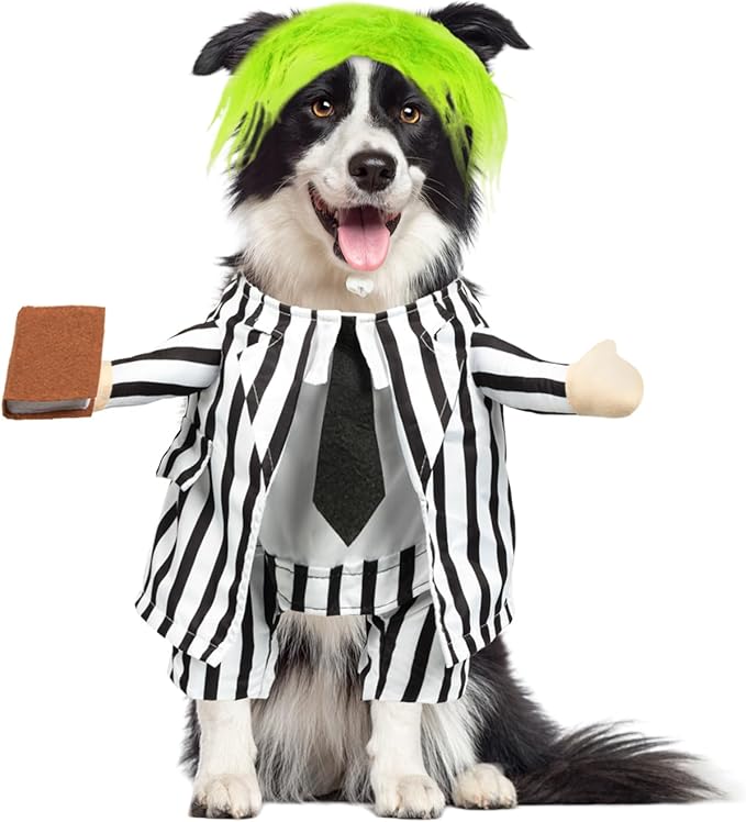 DELIFUR Dog Halloween Funny Costume - Pet Adorable Fantacy Clothes Cat Cosplay Apparel Dress Up for Medium Dog Funny Outfit Adjustable (Suit, Large)