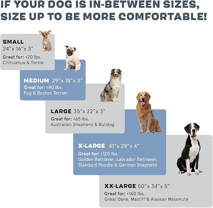 Barkbox Orthopedic Dog Bed with Memory Foam, Premium Comfort for Dogs and Puppies, Large Sized Dog Bed for Joint Relief and Restful Sleep, Durable and Easy to Clean - Grey, Large