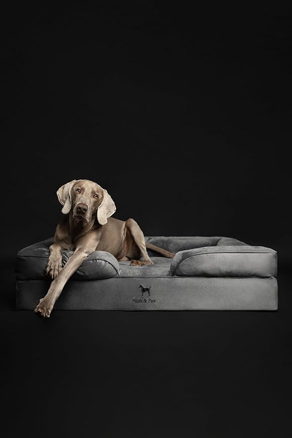 NOAH & PAW XL Dog Bed, 45x35x11 Inch, Orthopedic Large Dog Beds, Eggshell Memory Foam Infused with Cooling Gel, Inner Cover, Waterproof, Machine Washable (Velvet Sofa Collection)