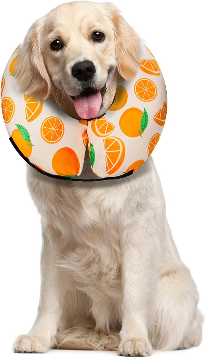 MIDOG Inflatable Dog Cone Alternative for After Surgery - Soft Protective Donut Collar Prevents Licking, Comfortable Recovery E-Collar Alternative for Small Medium Large Dogs (Orange,L)