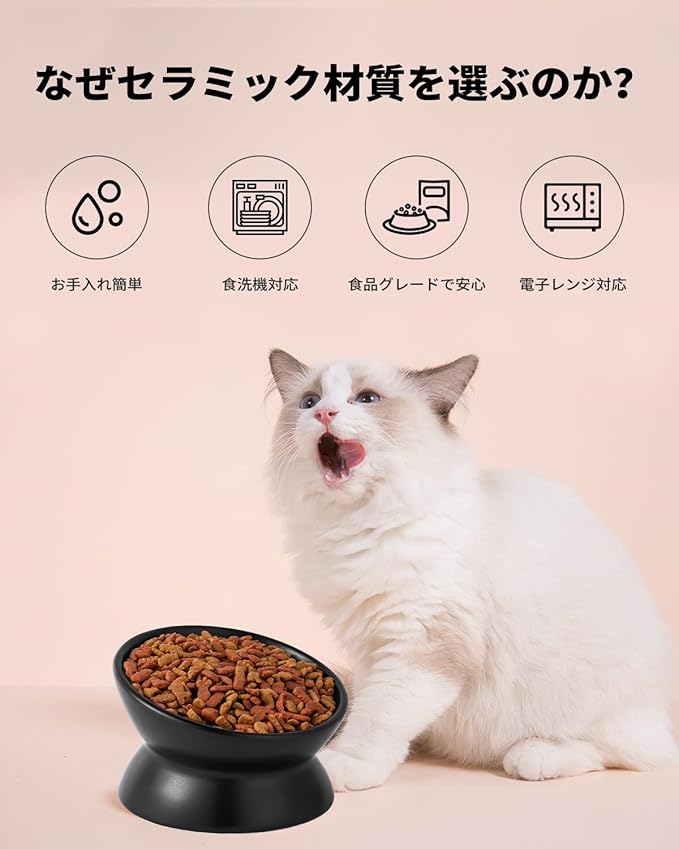 LoeJan Elevated Cat Food Bowl, 5 Oz Ceramic Raised and Tilted Water Bowl, Anti Vomiting and Protect Pets' Spines Dishes for Small Dog, Fat Faced Cat, Kitten (Black, 2 Pack)