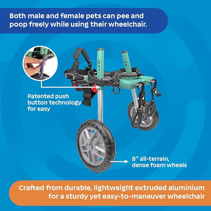 Walkin' Wheels Small Dog Wheelchair, Lightweight Dog Wheelchair for Back Legs, 15-25 lbs, for 9-11 inches Leg Height - Seafoam