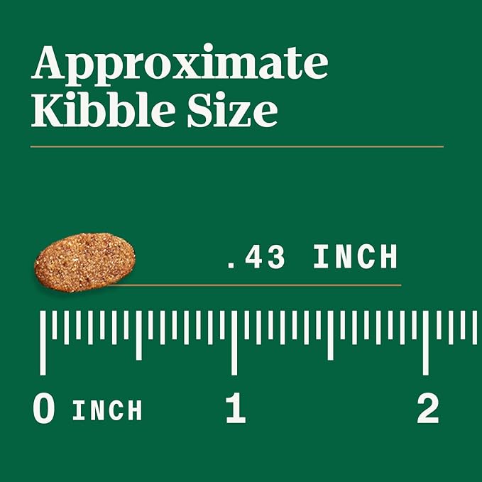 Nutro Ultra High Protein Dry Puppy Food, Trio of Proteins from Chicken, Lamb and Salmon, 12 lb Bag