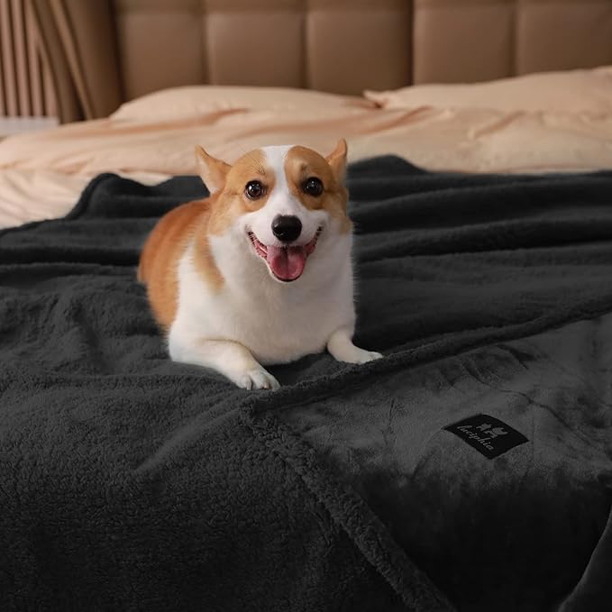 Luciphia Waterproof Pet Blanket, Liquid Pee Proof Dog Blanket for Sofa Bed Couch, Reversible Sherpa Fleece Furniture Protector Cover for Small Medium Large Dogs Cats, Black Thicken Large（65" x 57"）