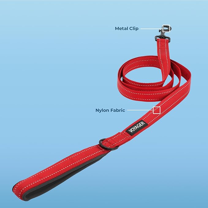 Voyager Reflective Dog Leash with Neoprene Handle, 5ft Long, Supports Small, Medium, and Large Breed Puppies, Cute and Heavy Duty for Walking, Running, and Training - Red (Leash), M