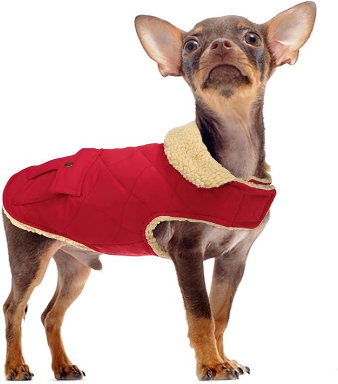 Queenmore Warm Dog Coat, Cold Weather Puffer Jacket with Ultra Thick Plush Lining and Storage Pockets (Red, Large)
