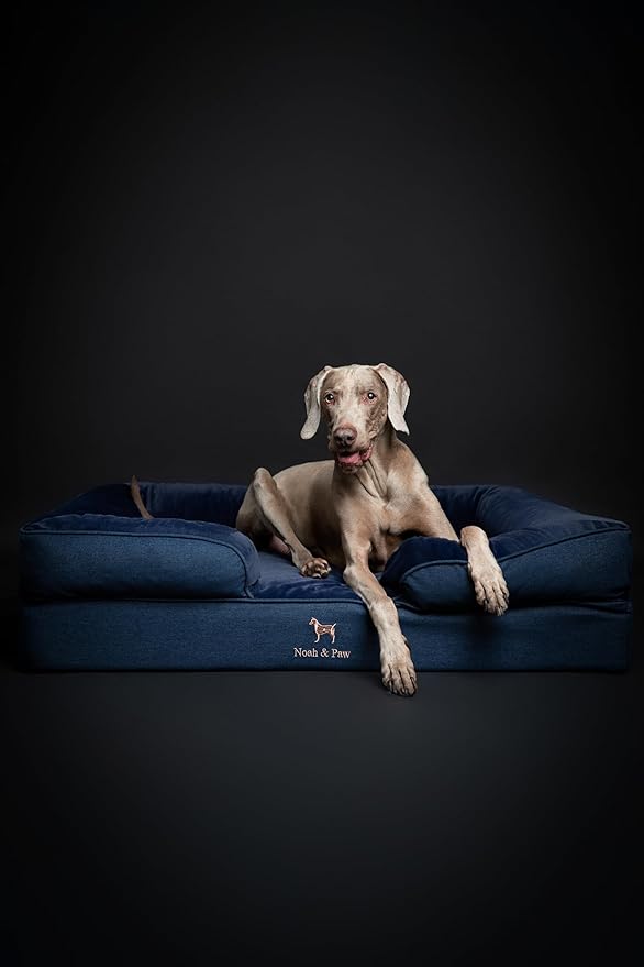 NOAH & PAW XL Dog Bed, 45x35x11 Inch, Orthopedic Large Dog Beds, Eggshell Memory Foam Infused with Cooling Gel, Inner Cover, Waterproof, Machine Washable (Denim Sofa Collection)