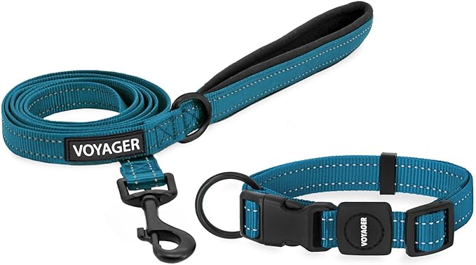 Voyager Reflective Dog Leash Collar Set with Neoprene Handle Supports Small, Medium, and Large Breed Puppies, Cute and Heavy Duty for Walking, Running, and Training - Turquoise, S