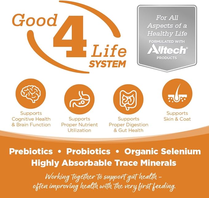 NutriSource Lamb & Rice Recipe Dog Food, Premium Wet Dog Food, 12.3 Ounce (Pack of 12)