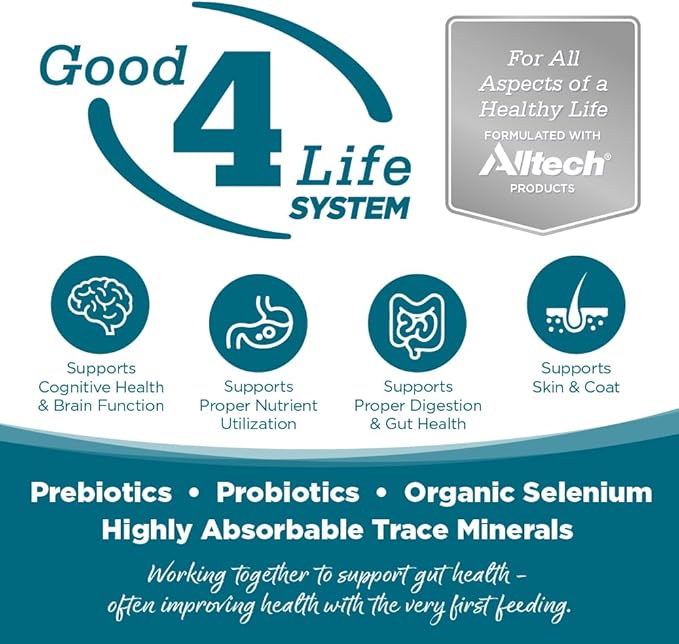 NutriSource Chicken & Rice Recipe Dog Food, Premium Wet Dog Food, 12.3 Ounce (Pack of 12)